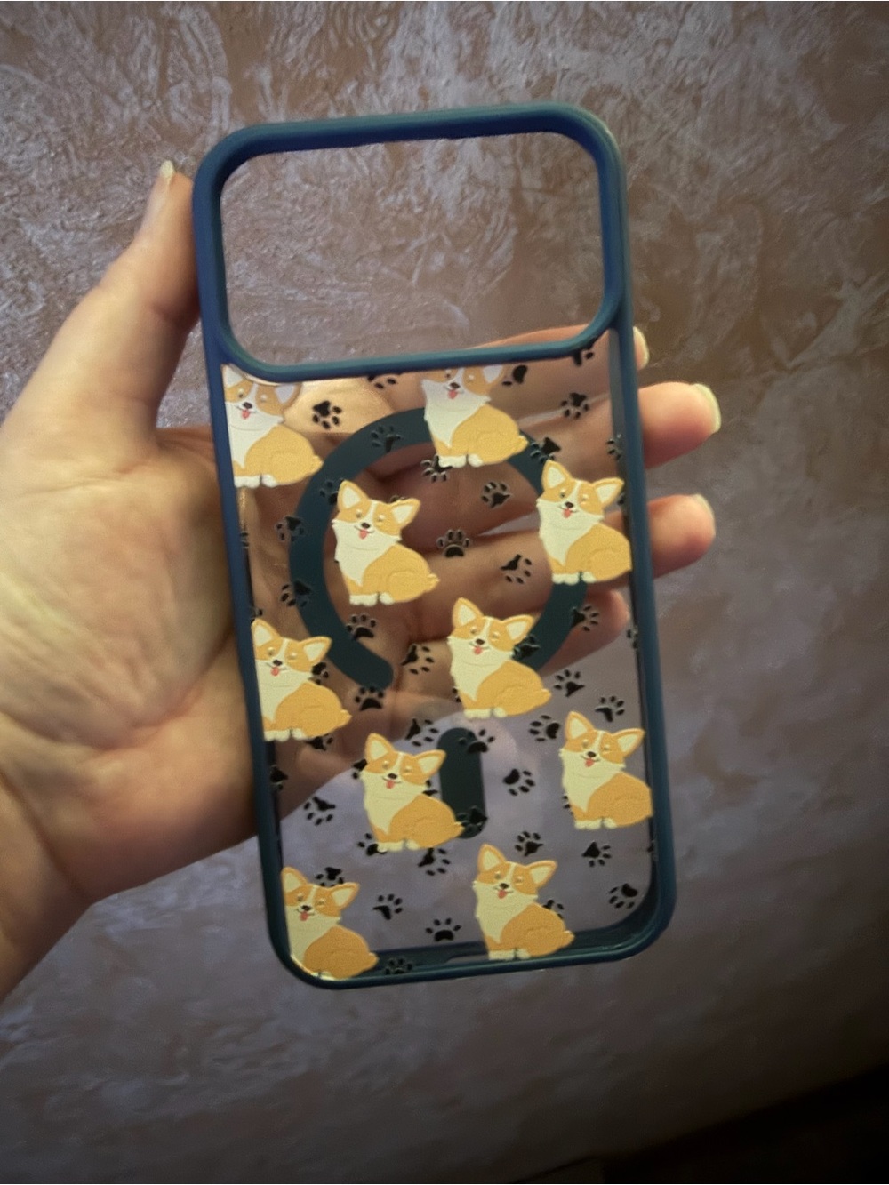 iPhone 17 Pro Max case